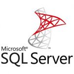 Microsoft SQL Server 2019 Standard + 5 User Cals